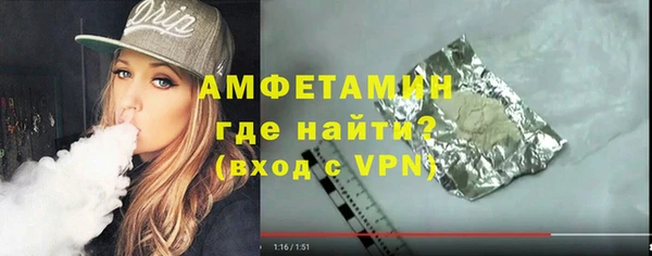 гидра Тында