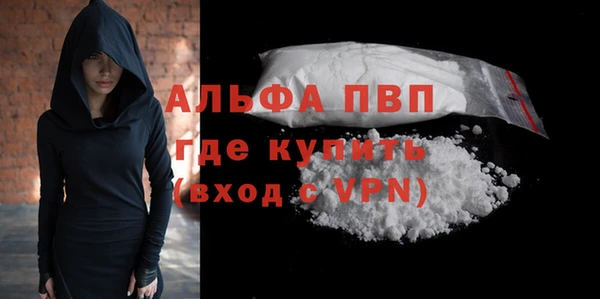 гидра Тында