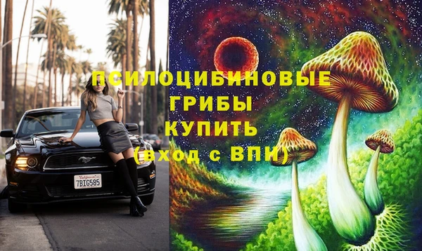 индика Богданович
