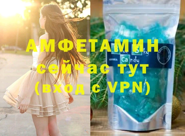 индика Богданович