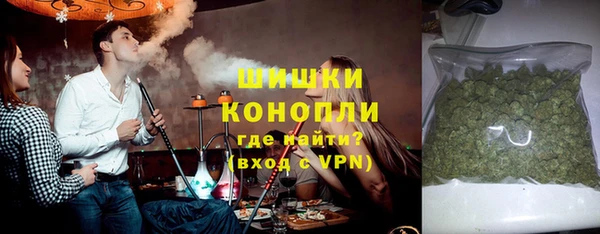 мдпв Богородск
