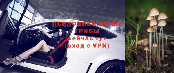 гидра Тында